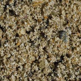 Nederlands brekerzand