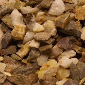 Nederlandse steenslag